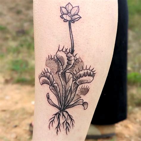 Venus Flytrap Tattoo