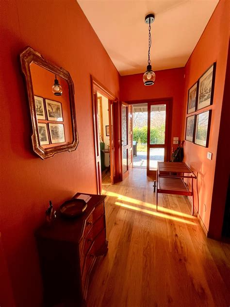 Veranda Rote Hybridtomate: The Perfect Tomato For Your Home Garden