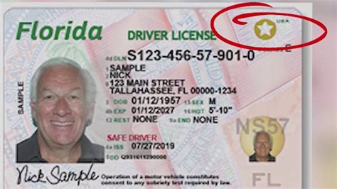 Verify A License Florida