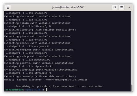 Terminal showing successful Perl installation verification
