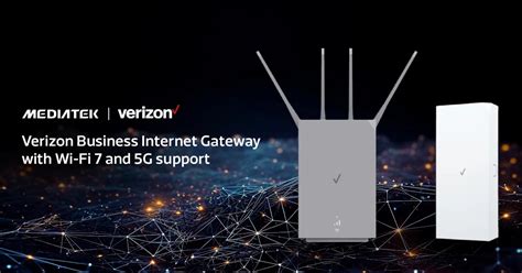 Verizon Business Network Infrastructure