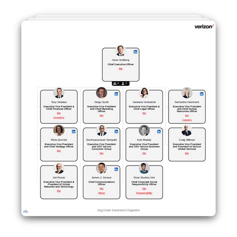 Verizon Cyber Security Organization Chart
