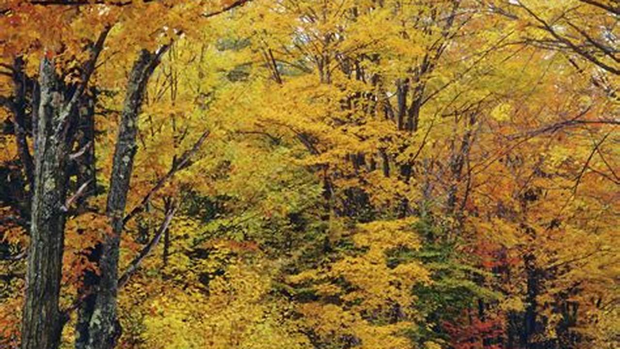 Vermont Maple Weekend 2025