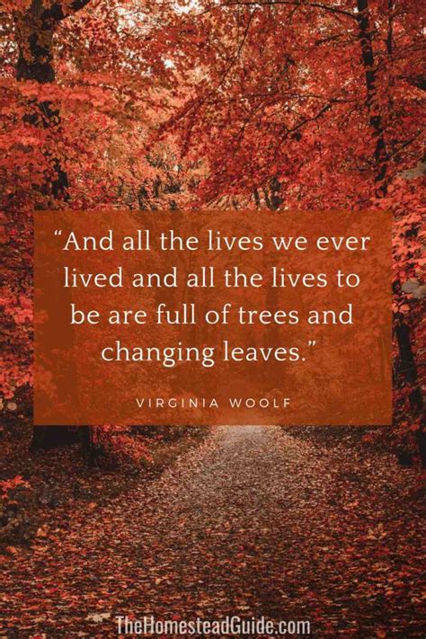 Vermont Fall Quotes