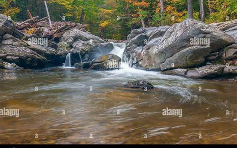 Vernooy Kill State Forest: Experience the Beauty of Nature in Upstate New York