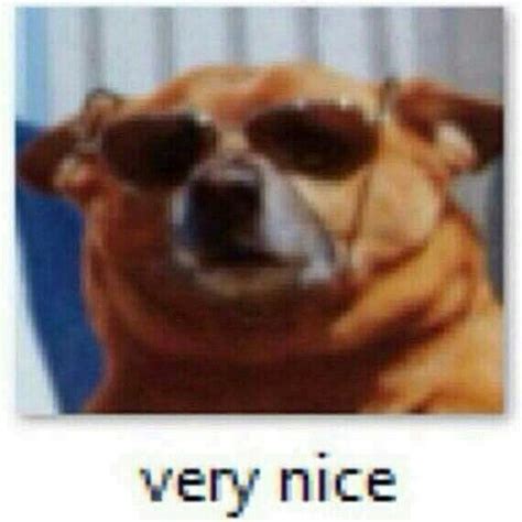 Very Nice Dog Meme