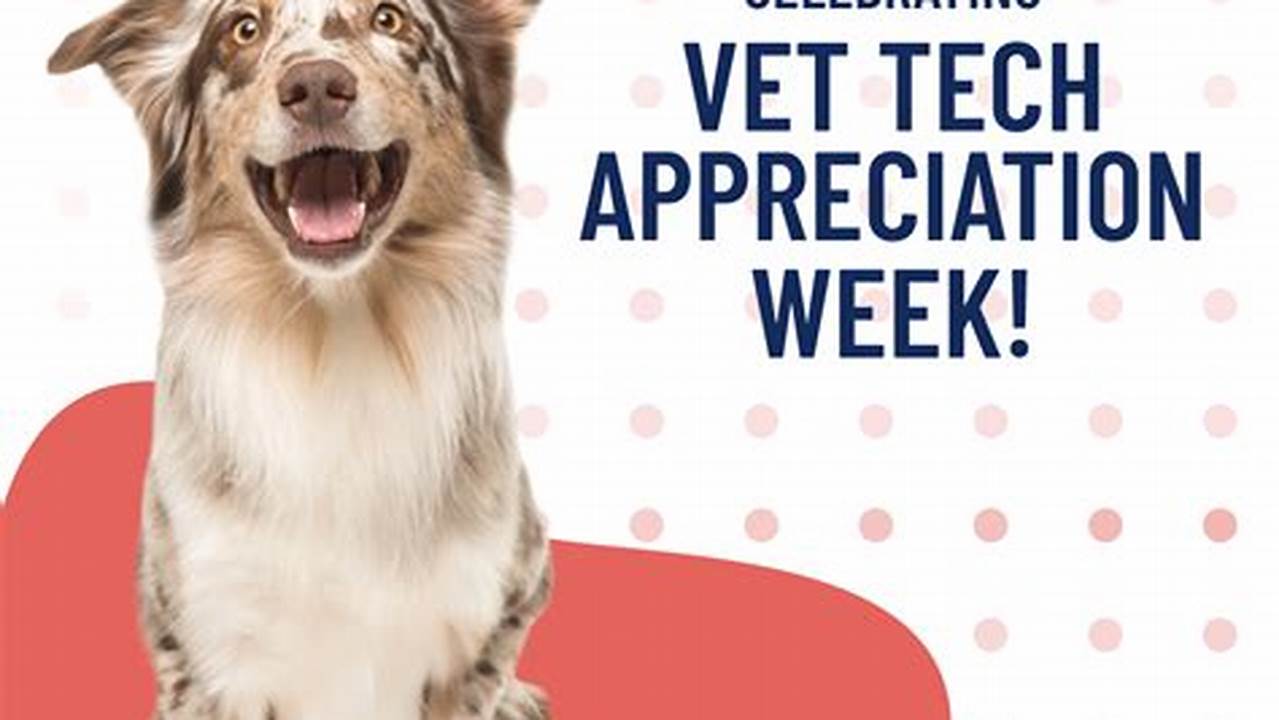 Vet Tech Appreciation Week 2024