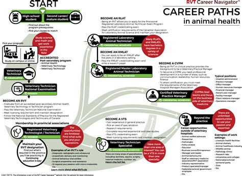 Vet Career Path
