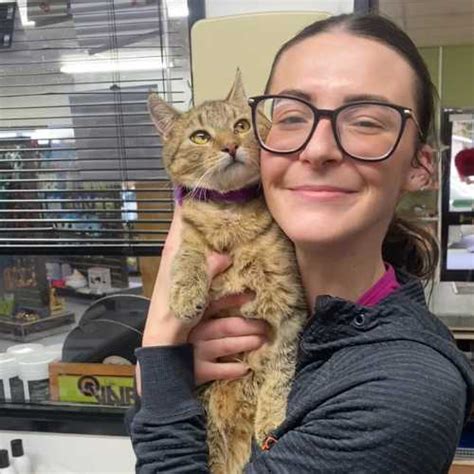 Vet Near Me After Hours