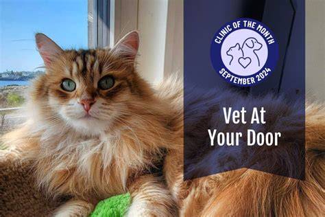 Vet To Your Door