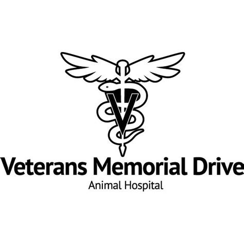 Compassionate Care for Your Furry Companions: Discover Veterans Memorial Drive Animal Hospital