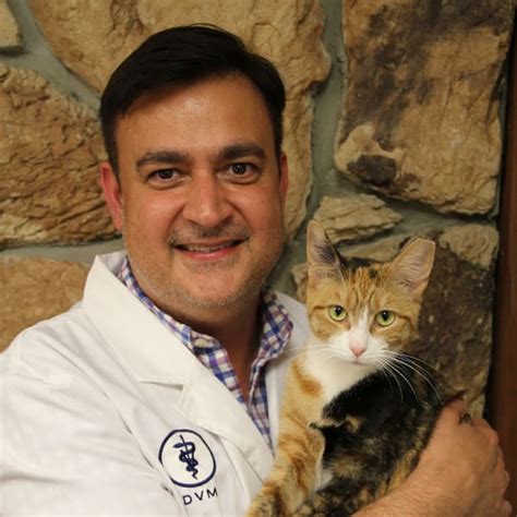 Veterinarian Fairfield Collaborative Spirit