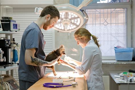 Veterinary Technology