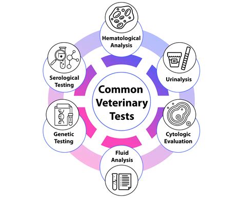 Veterinary Tests and Procedures