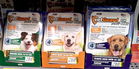 Vets Near Me With Prices