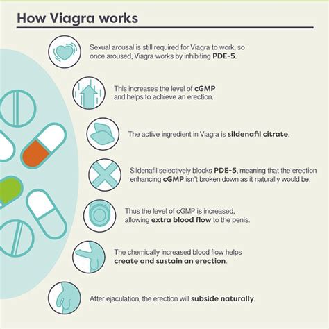 Viagra and Educational Performance
