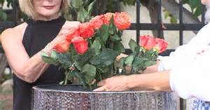 Victims of PSA Ammunition