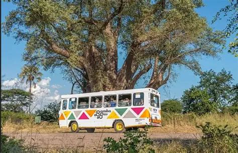 Victoria Falls Transport
