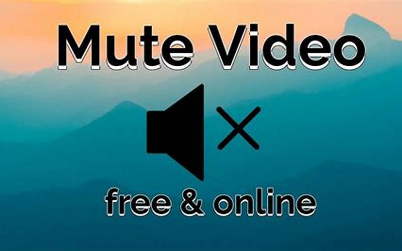 Video Mute