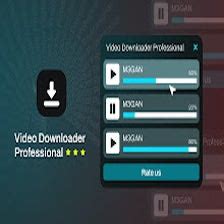 Video Downloader Professional Logo