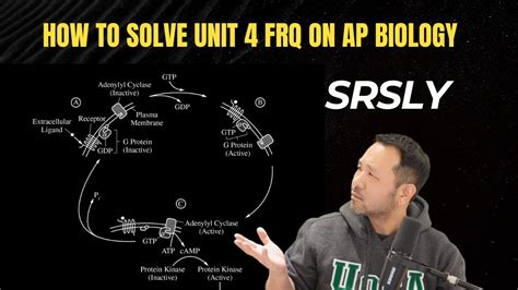 Video Tutorial: Breaking Down AP Classroom Unit 4 FRQ Questions
