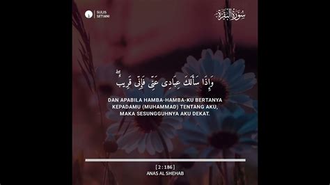 Vidgram Murottal