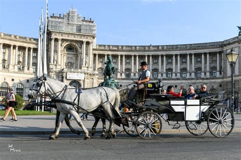 Vienna Fiaker Experience
