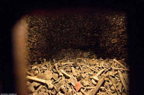 Vienna catacombs