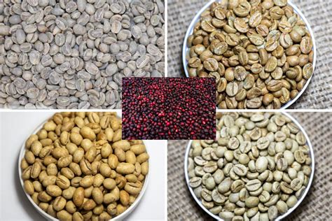 Vietnamese Coffee Beans