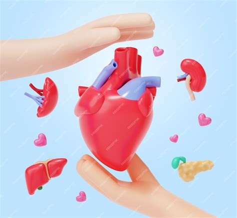 Download View Medical Organs Bundle PSD Files Free PSD Mockups