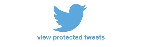 Discover the Best View Protected Tweets App to Access Private Twitter Accounts