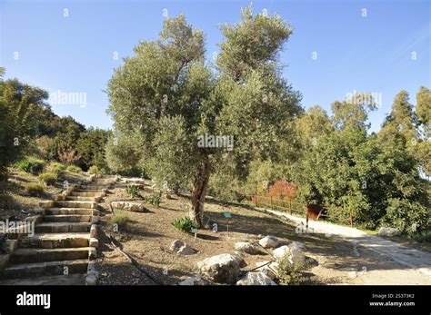 Views from Adonis Trail Cyprus