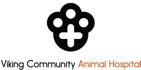 Top-Quality Veterinary Care for Your Pet at Viking Community Animal Hospital!