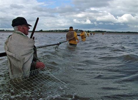Viking Fishing Nets