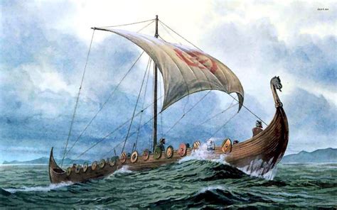 Viking ships
