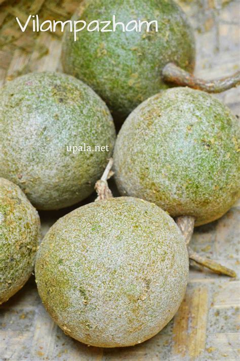 Vilam Pazham Fruit
