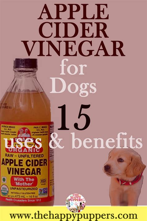 Vinegar For Dog Paws