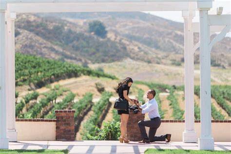 Vineyard Proposal