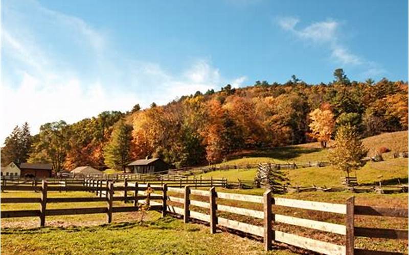 Virginia Farm Land For Sale