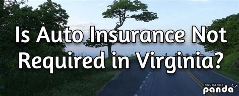 Virginia Auto Insurance Penalties