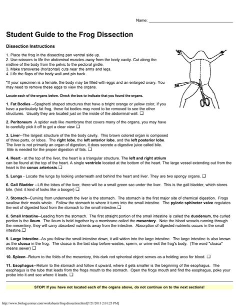th?q=Virtual%20frog%20dissection%20lab%20answers - Virtual Frog Dissection Lab Answers: Tips For Students