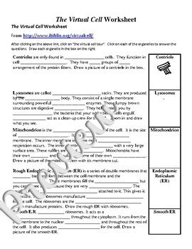 Virtual Cell Worksheet Answer Key