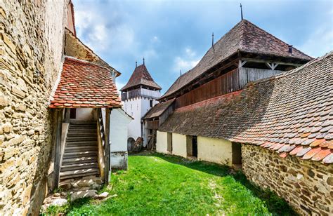 Viscri Rural Tranquility