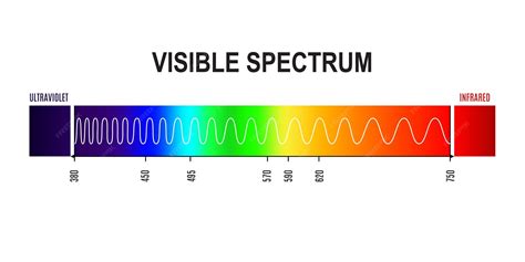 Visible Light Wavelength Chart