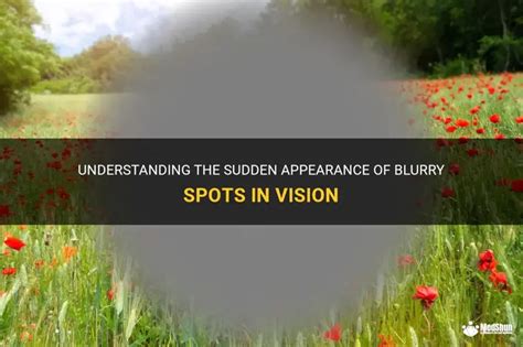 Vision Issues and Blurriness