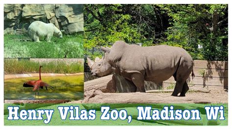 Visit the Madison Zoo