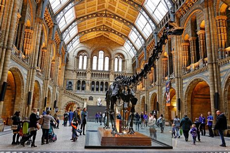 Visiting Natural History Museum