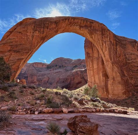 Visiting Rainbow Bridge