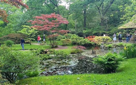 Visitor Tips Clingendael Park