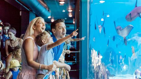 Visitor Tips Sea World